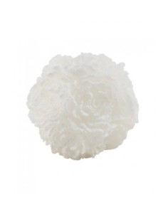 CANDELA PEONIA BIANCA 13,2X12,8X11,3 CM